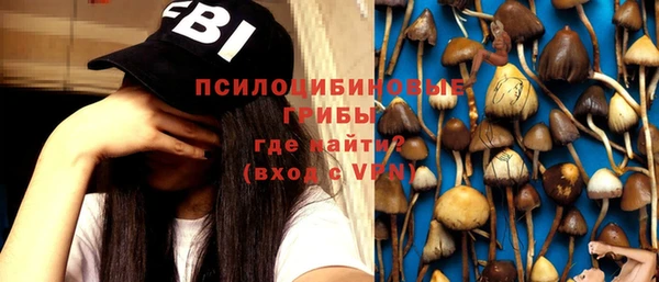 бутират Баксан
