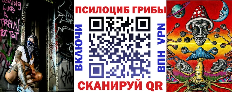 Галлюциногенные грибы Psilocybine cubensis  Юрьев-Польский 