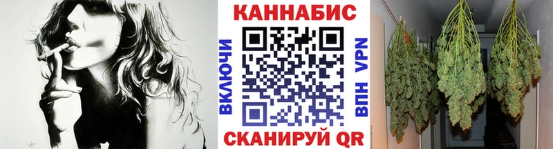 darknet наркотические препараты  Юрьев-Польский  Бошки марихуана план 